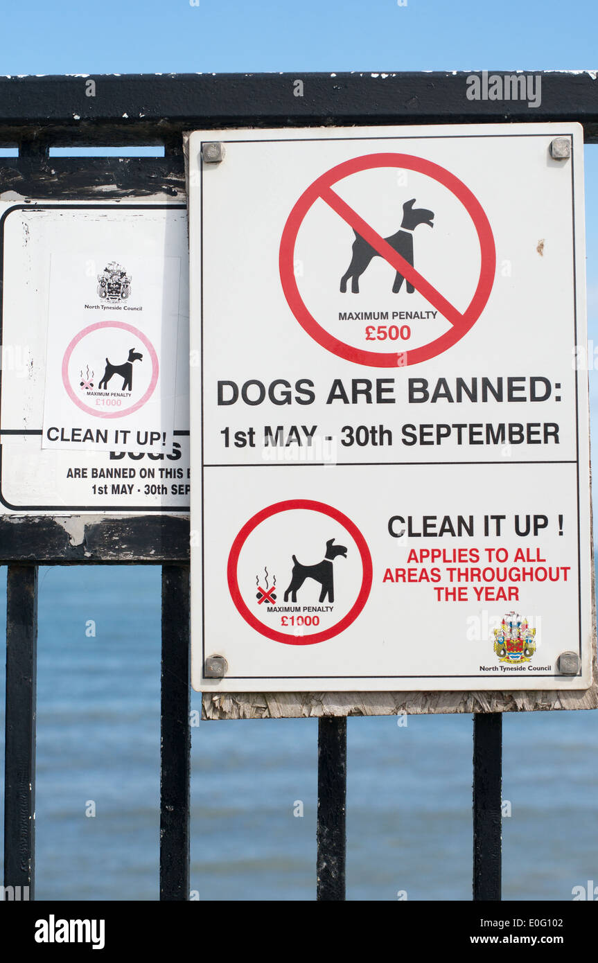 Segno o preavviso i cani sono vietati da Whitley Bay beach North East England Regno Unito Foto Stock