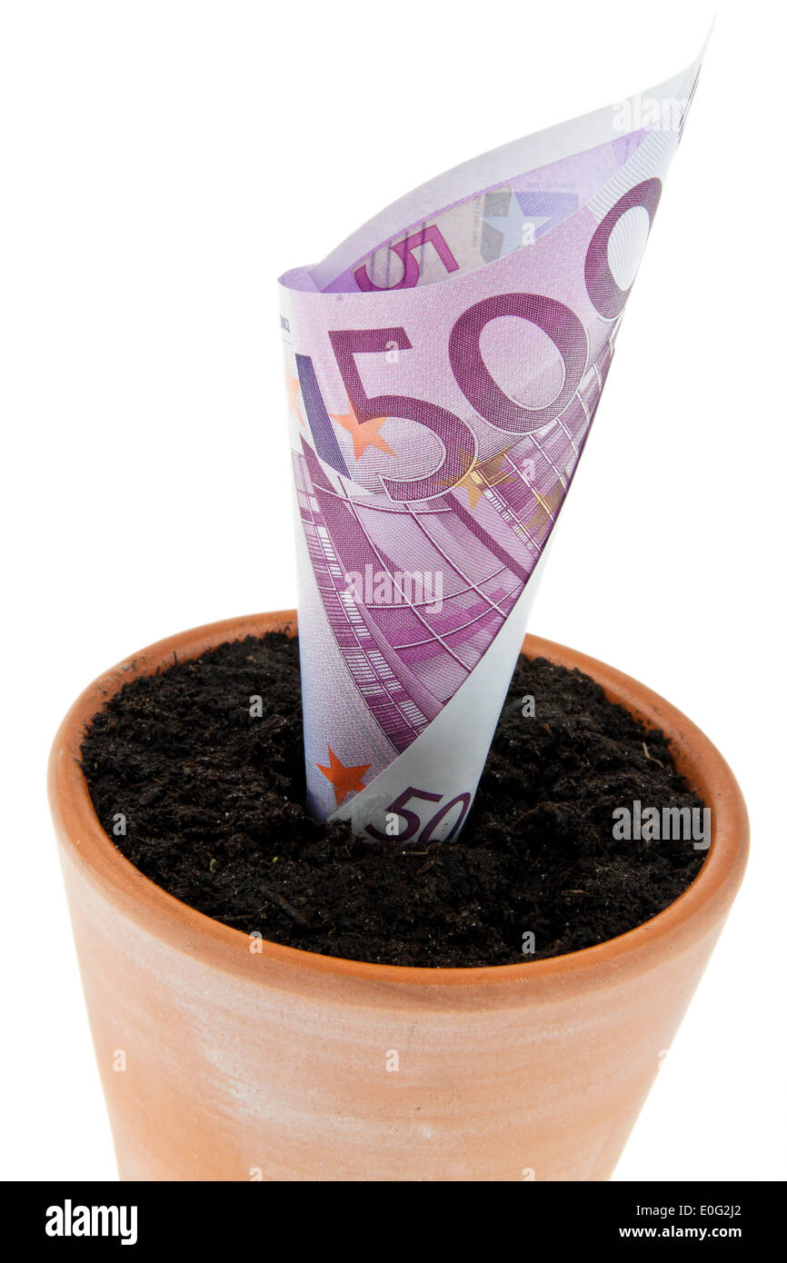 Un euro-bank nota in vaso. Interesse di simbolo, la crescita., Ein Euro-Geldschein in Blumentopf. Simbolo Zinsen, Wachstum. Foto Stock