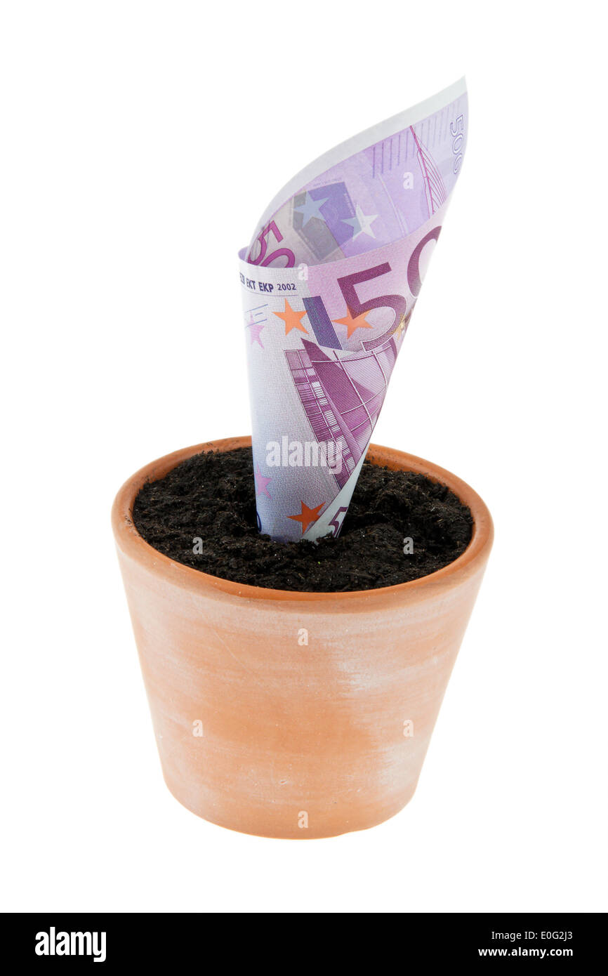 Un euro-bank nota in vaso. Interesse di simbolo, la crescita., Ein Euro-Geldschein in Blumentopf. Simbolo Zinsen, Wachstum. Foto Stock