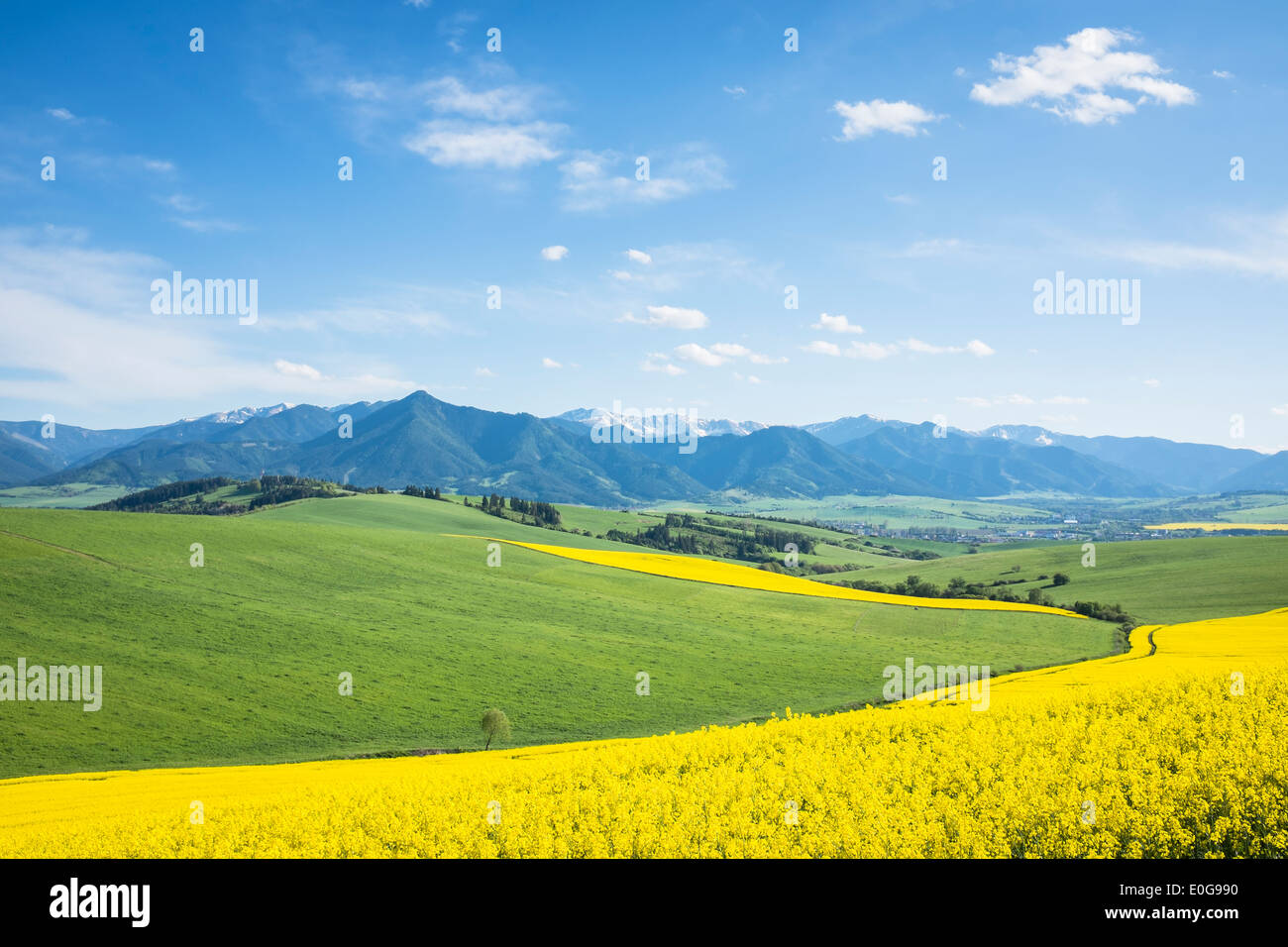 Agriturismo in primavera giornata soleggiata nel verde e giallo con Blue Horizon Foto Stock