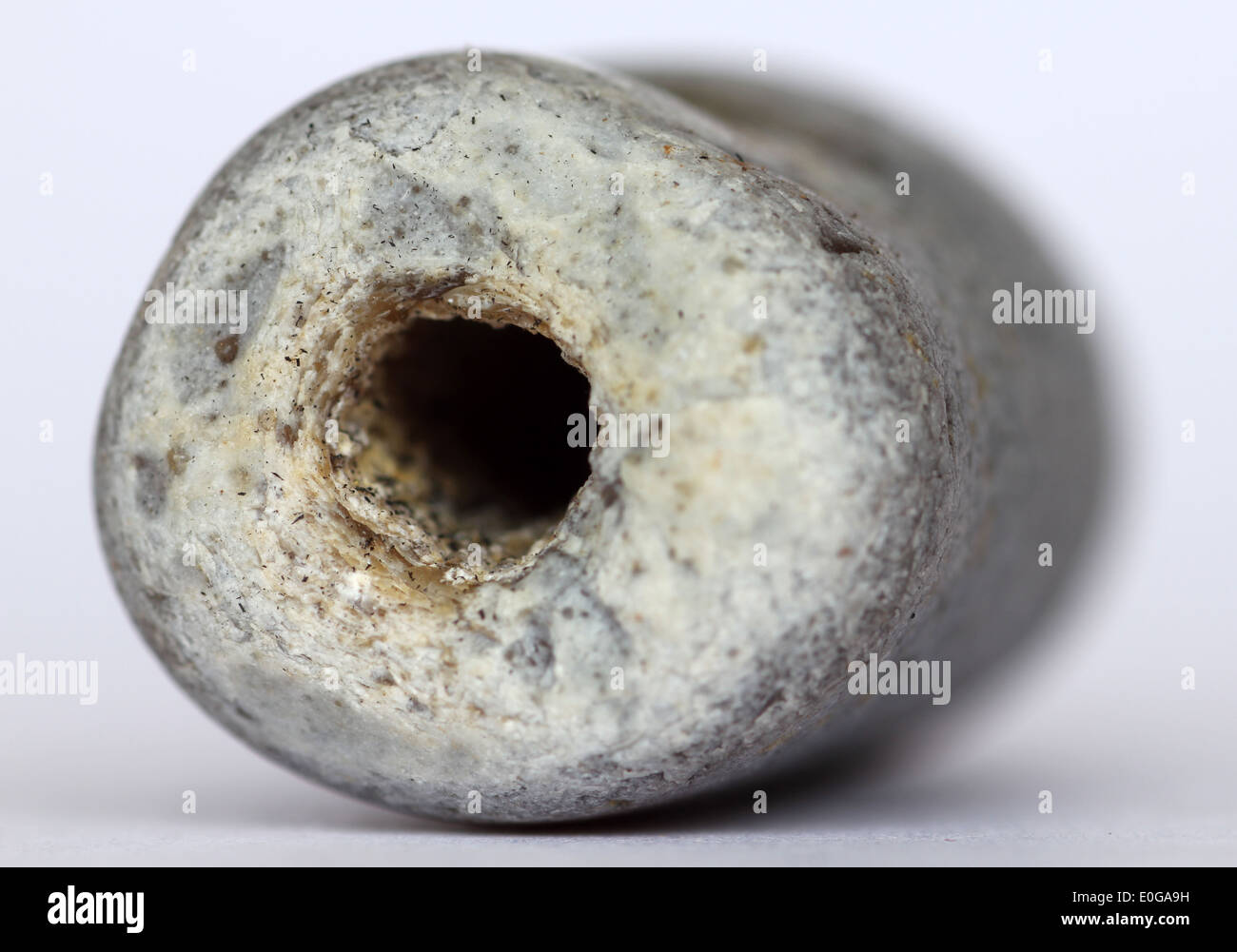 Eroso la selce pebble noto nel Suffolk come hag sassi o pietre sommatore Foto Stock