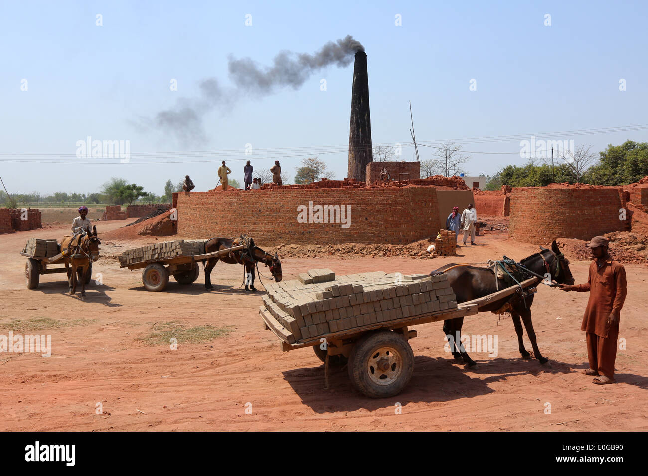 Donkey carts getting scaricato di mattoni in un forno di mattoni di una fabbrica di mattoni, Lahore Punjab, Pakistan, Asia Foto Stock