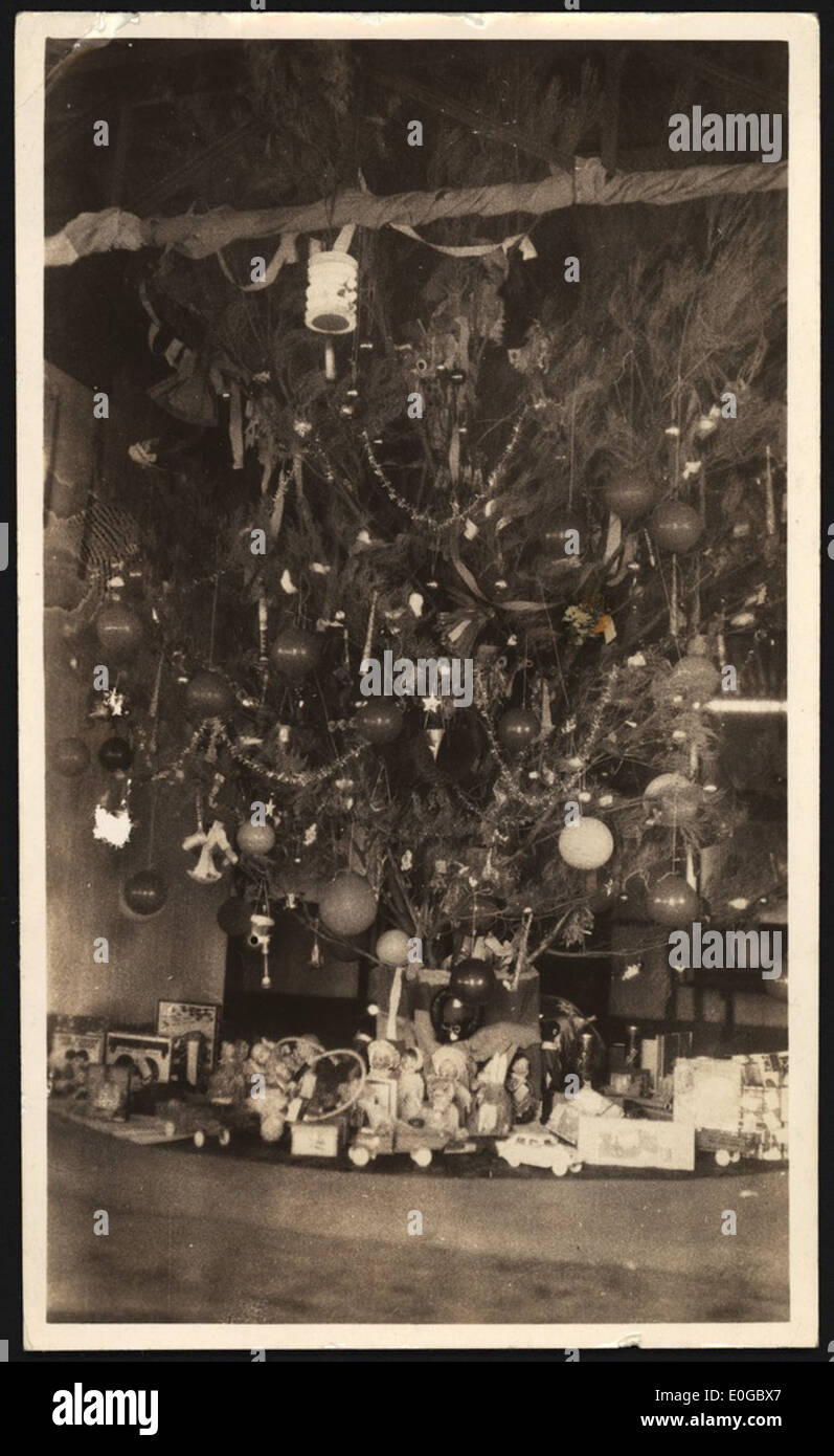 Il Natale Mulga tree circondato da doni A.I.M. Il Club Benessere in Carnarvon, Western Australia, dicembre, 1936 Foto Stock