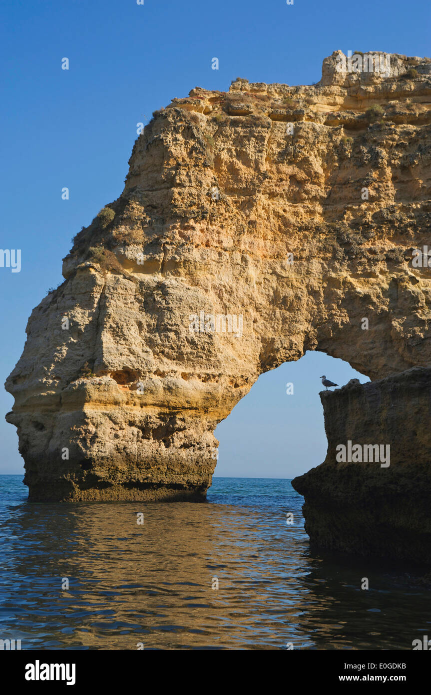 Formazione di roccia a Praia de Marinha, Algarve, Portogallo, Europa Foto Stock