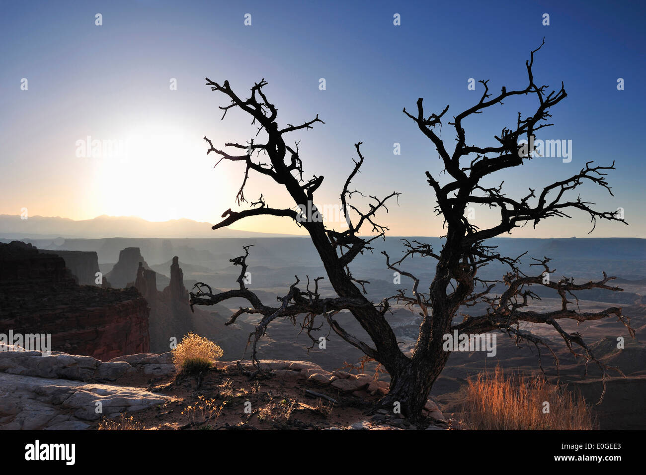 Silhouette di provare davanti a guglie di roccia di sunrise, Island in the Sky, il Parco Nazionale di Canyonlands, Moab, Utah, Southwest USA, Foto Stock