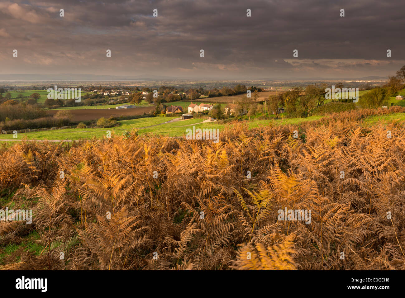Vista dal picco giù vicino a Dursley, Gloucestershire Foto Stock