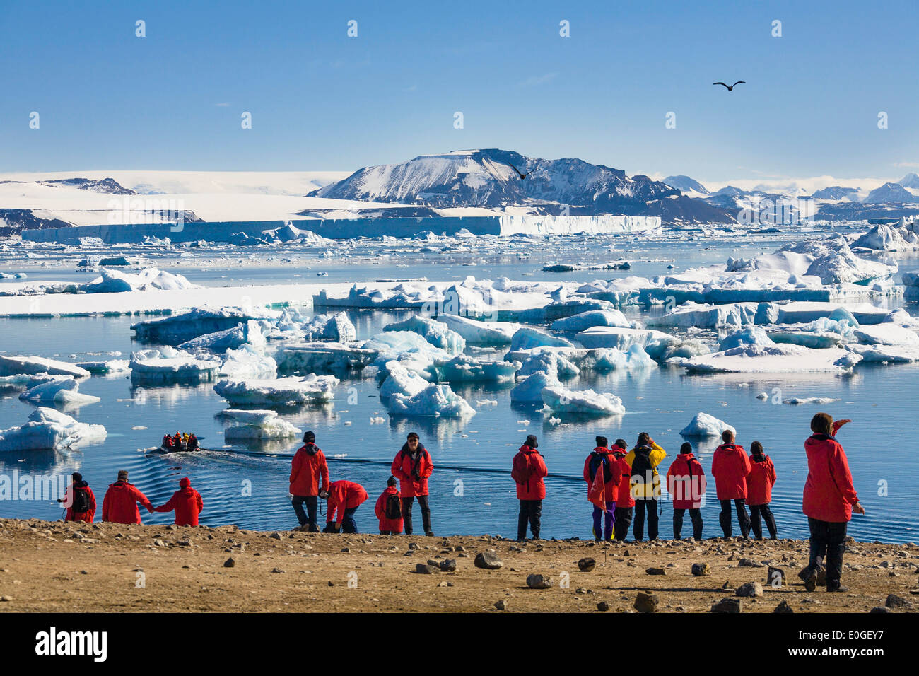 I turisti su Devil Island, Antartico Suono, Mare di Weddell, Oceano Meridionale, Antarcica Foto Stock