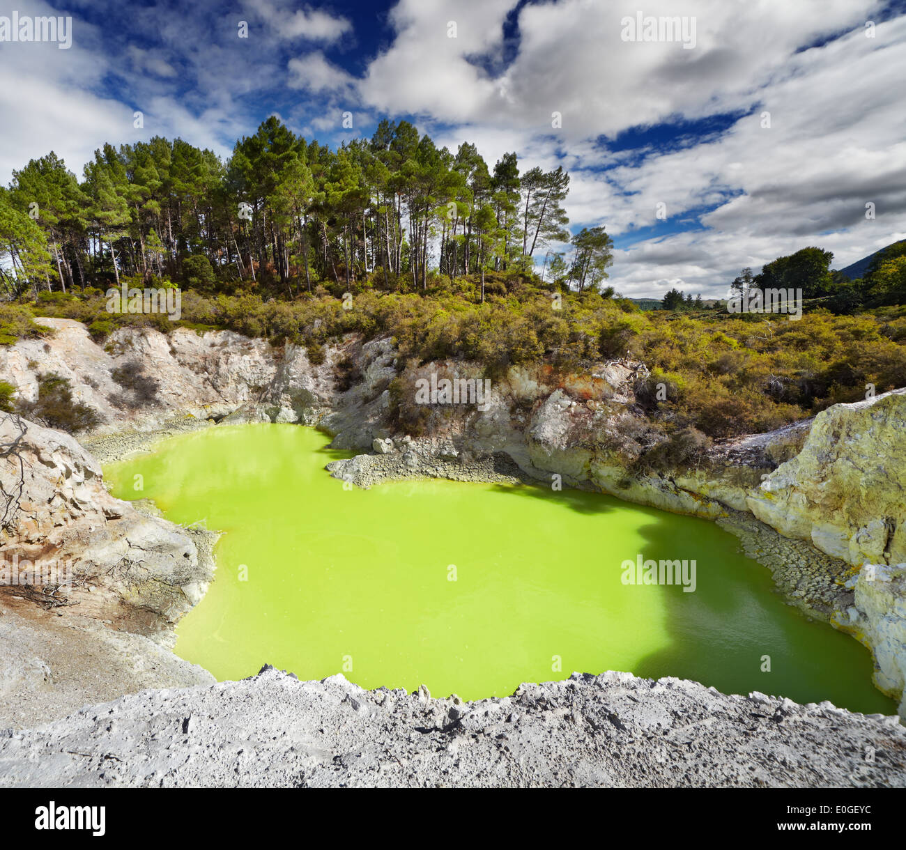 Devil's bagno in piscina Waiotapu Riserva Termale, a Rotorua, Nuova Zelanda Foto Stock