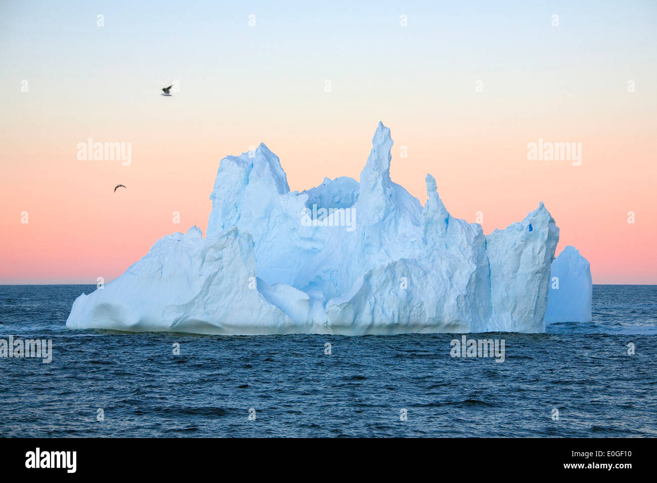 Iceberg, Penisola Antartica, Antartide Foto Stock