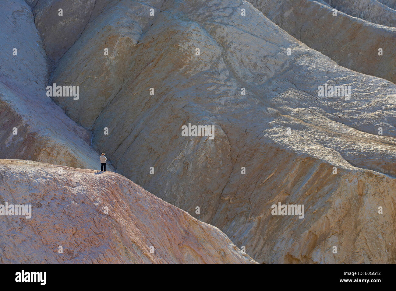 Rocce di Zabriskie Point al mattino, Valle della Morte, deserto Parco Nazionale della Valle della Morte, California, USA, America Foto Stock