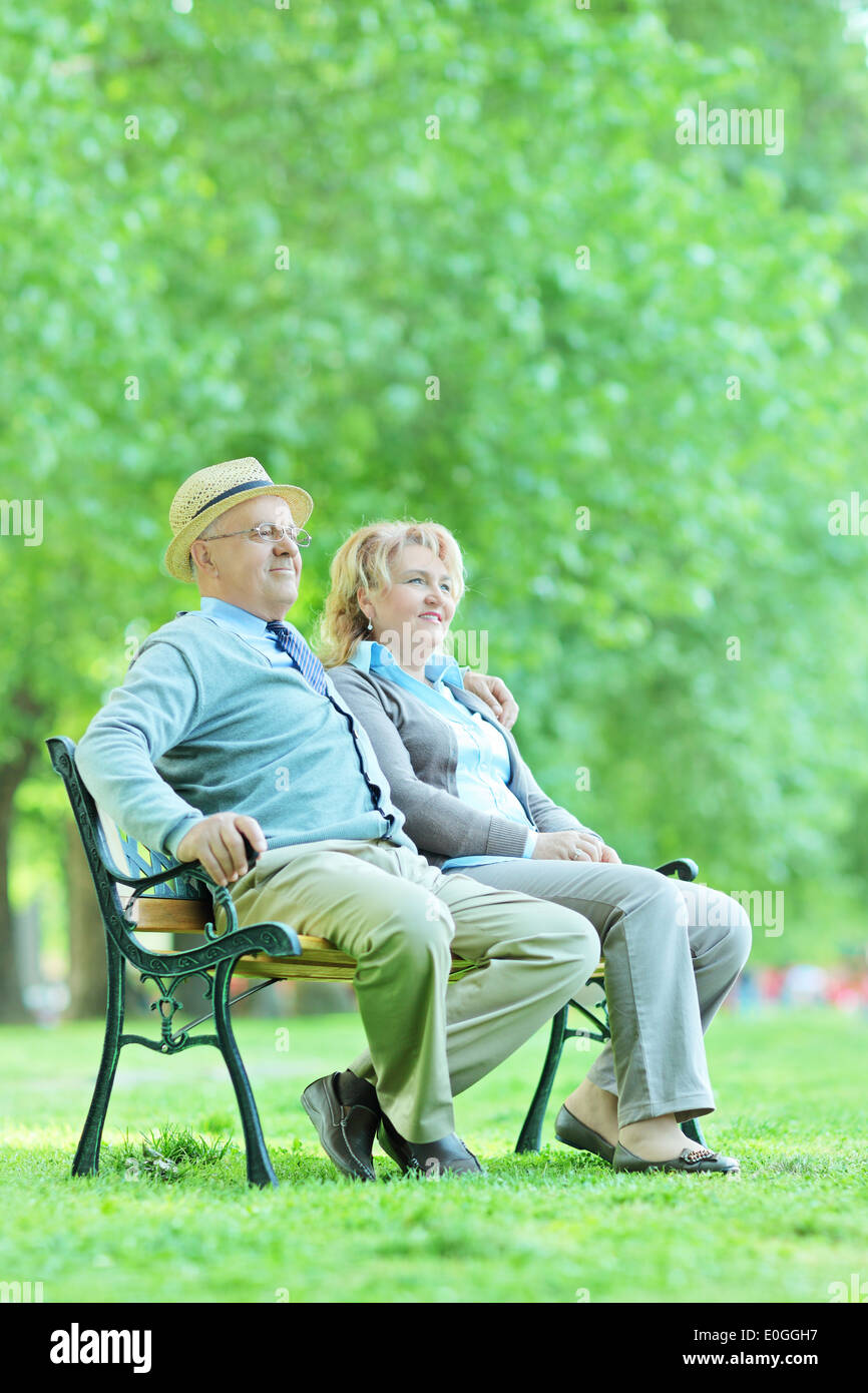 Anziani seduti su un banco di lavoro e rilassarsi nel parco Foto Stock