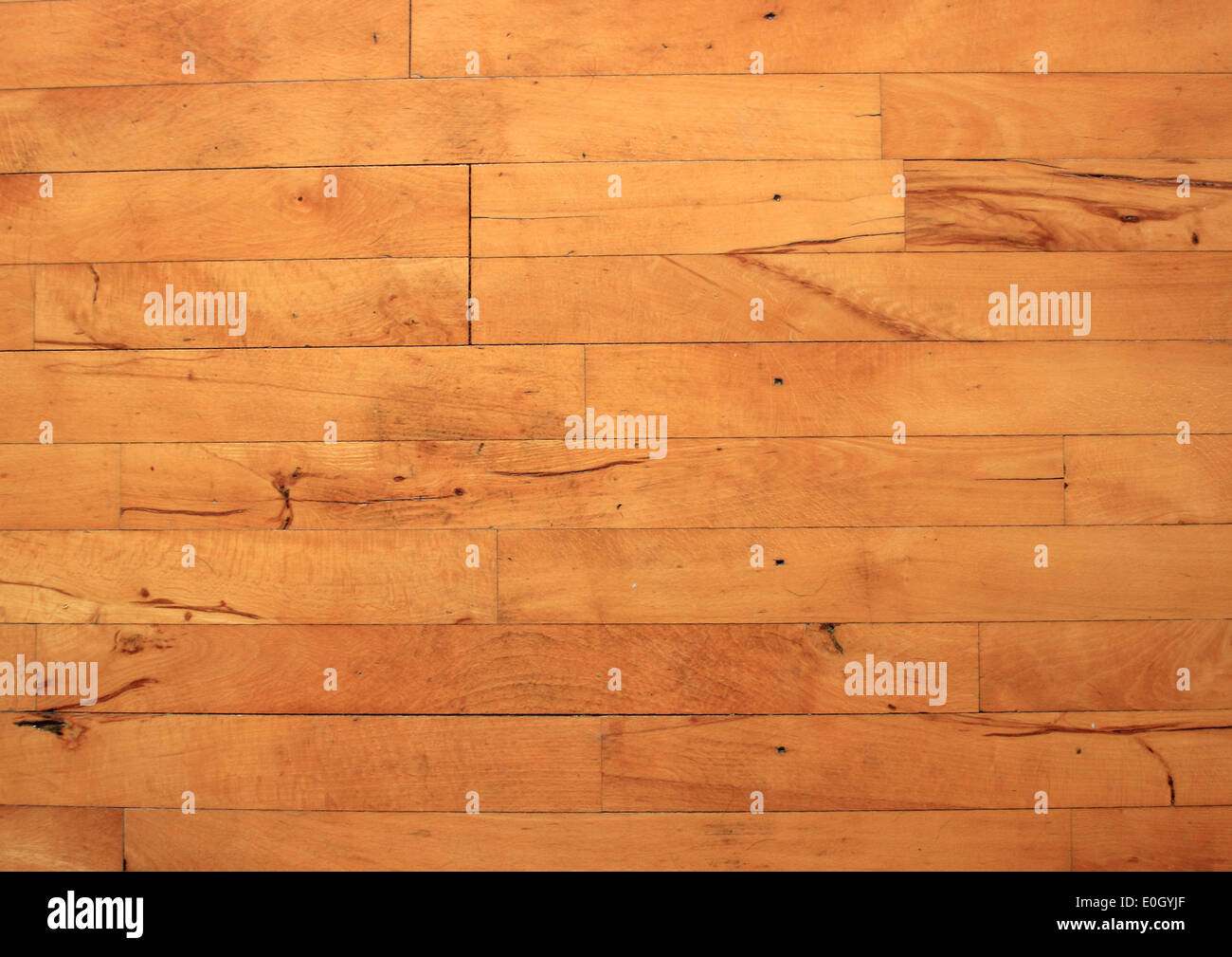 Vecchio pavimento di legno di faggio flammed con chiodi Foto Stock