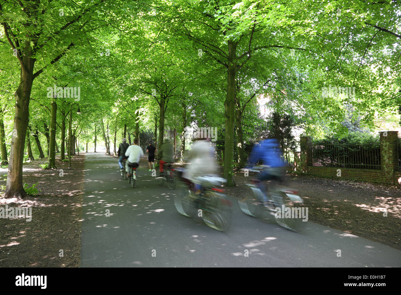 Ciclisti in un parco della città Foto Stock