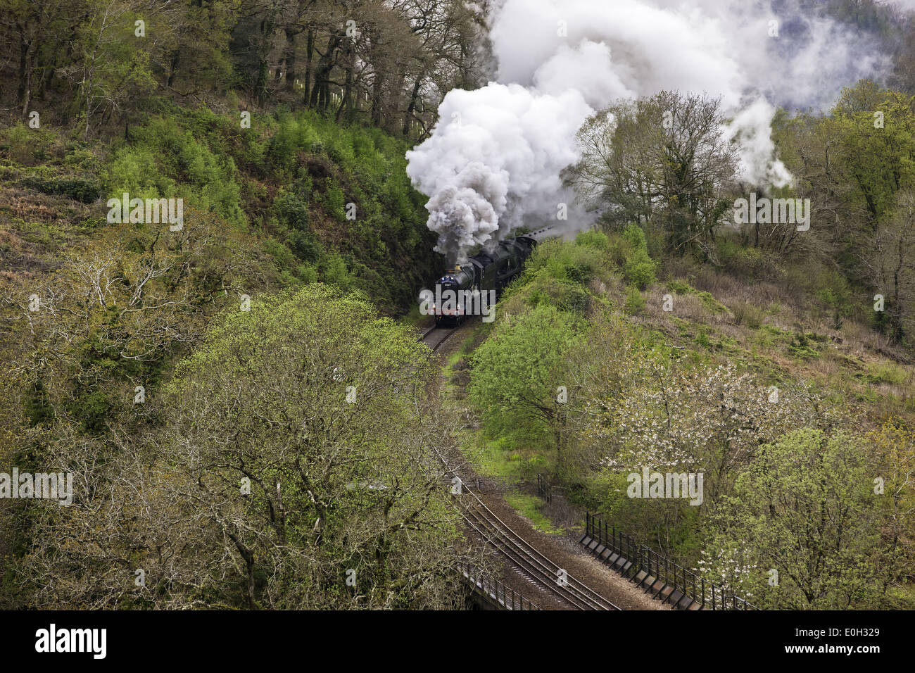 La Gran Bretagna IV Tour della cottura a vapore su Largin viadotto, Cornwall Foto Stock