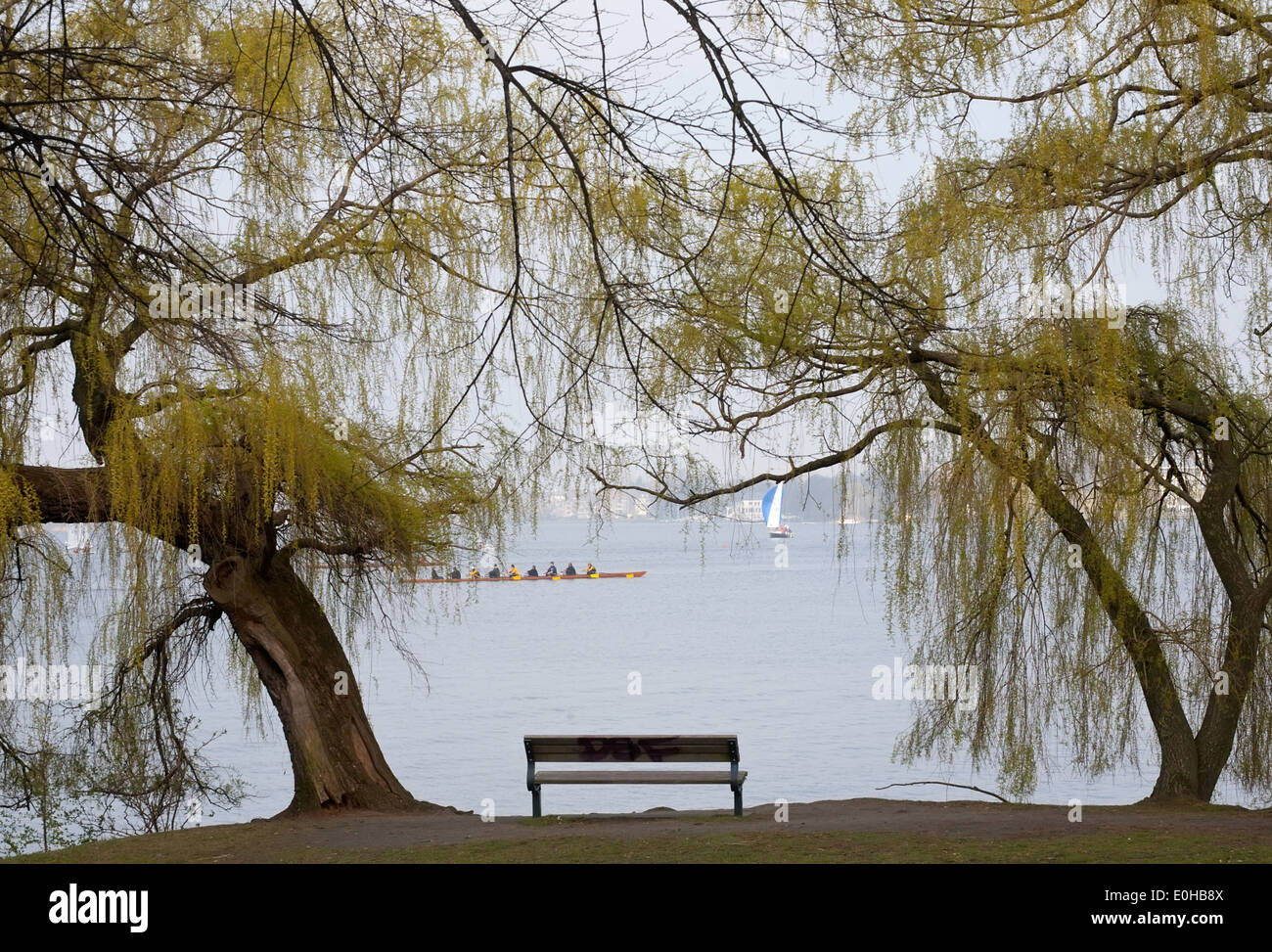 Piccola panca sul bellissimo lago e alberi di sfondo, esterno al lago Alster, Amburgo, Germania Foto Stock