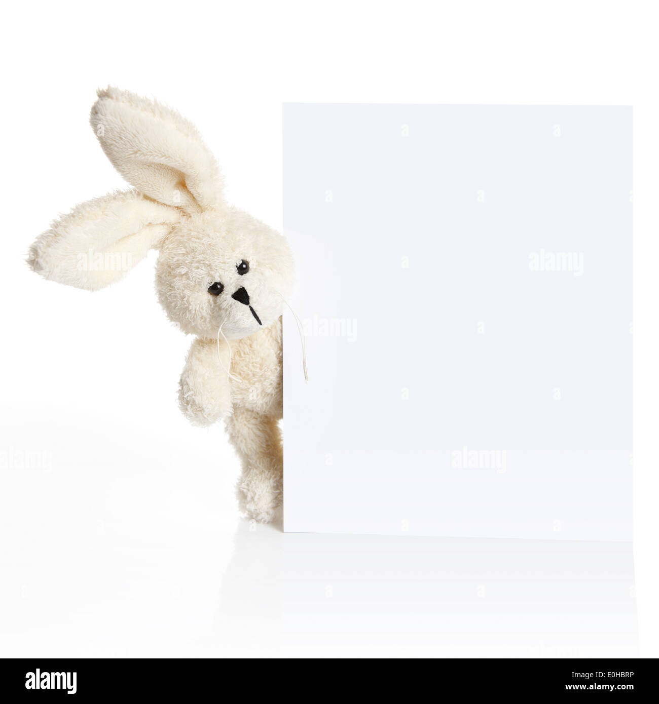 Coniglio ripieno orecchie guardare fuori da dietro un libro bianco Foto Stock