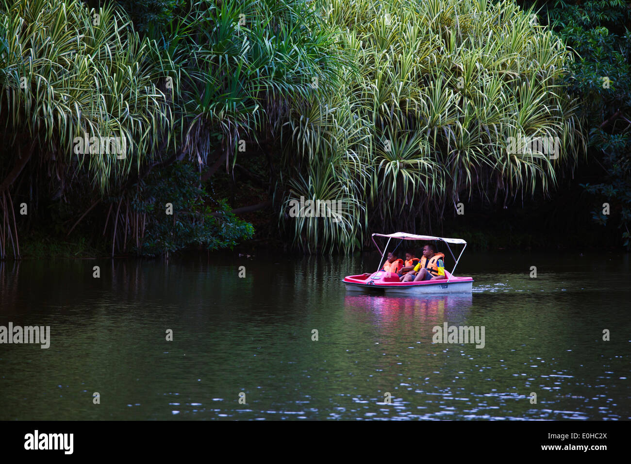 Rematori presso un lago da diporto al Rainforest Discovery Centre situato nel KABILI SEPILOK FOREST - BORNEO Foto Stock