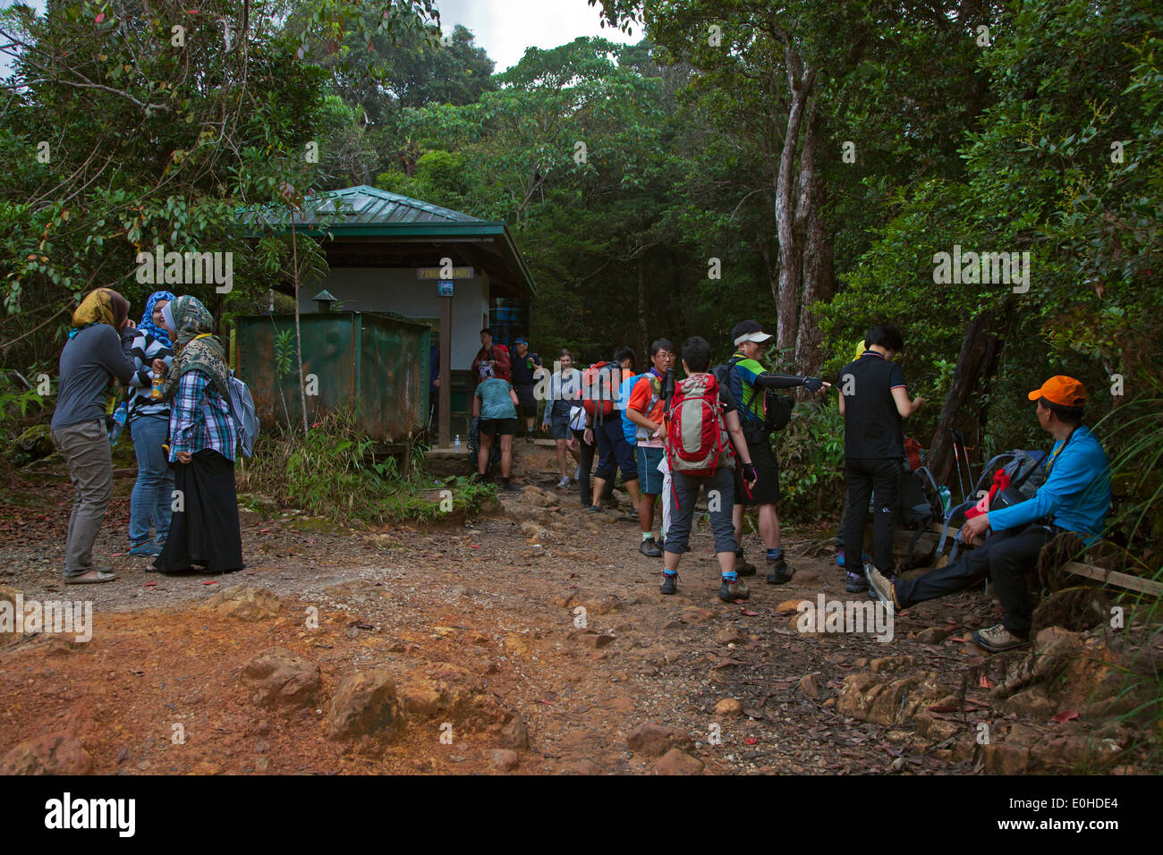 Escursionismo il sentiero per il Monte Kinabalu che è un sito patrimonio mondiale e uno della Malesia la prima Nazionale Parchi - Sabah, BORNEO MR Foto Stock