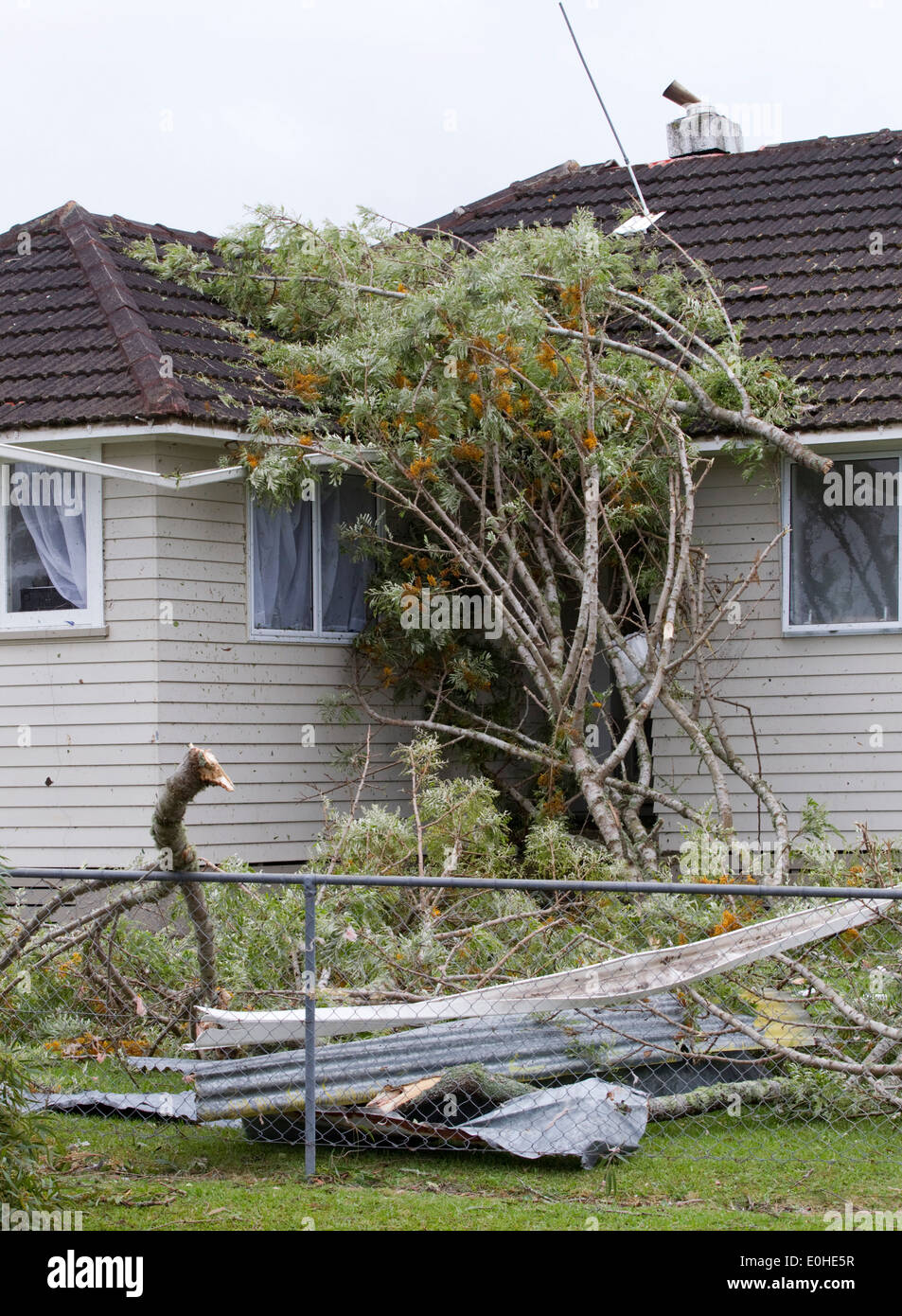 La scena di un tornado colpisce il quartiere di Hobsonville, Auckland, Nuova Zelanda, giovedì 06 dicembre, 2012. Foto Stock