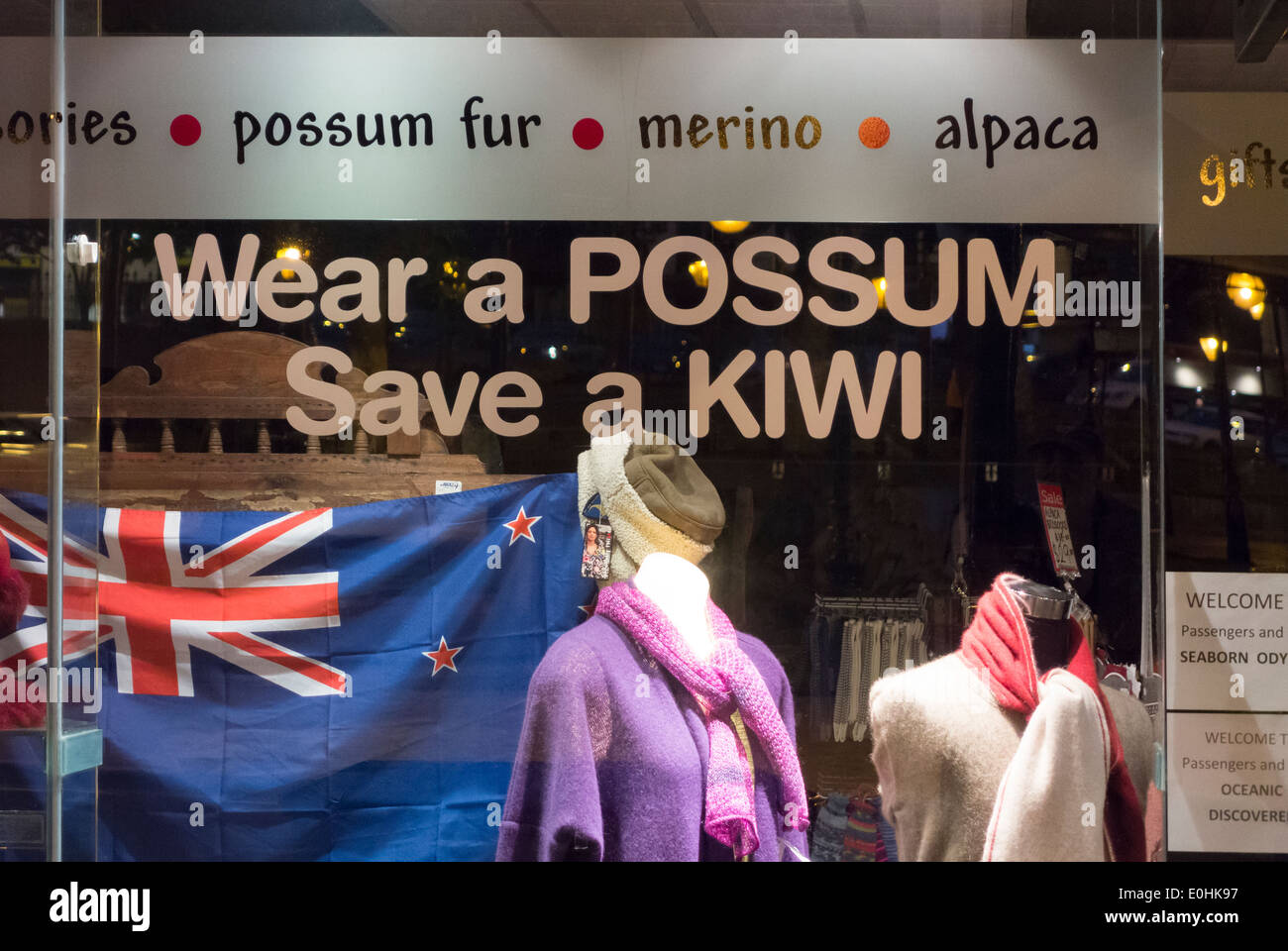 Indossare un opossum salvare un Kiwi vetrina in Dunedin in Nuova Zelanda promuovere possum-lana merinos a lottare contro le specie invasive di Pest Foto Stock