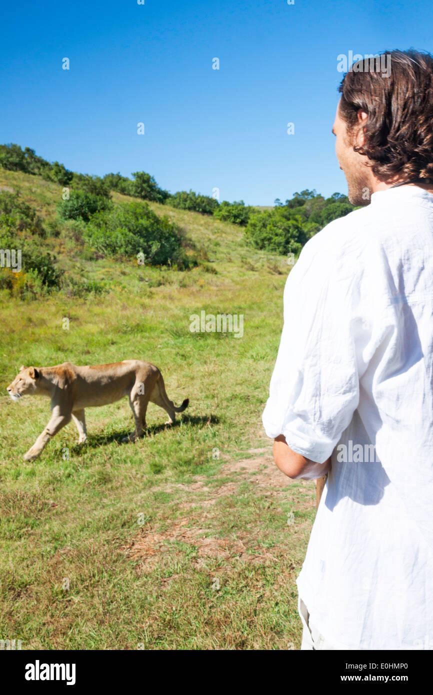 Uomo caucasico sorge nella boccola e orologi un leone a piedi passato, Mosselbay, Sud Africa Foto Stock
