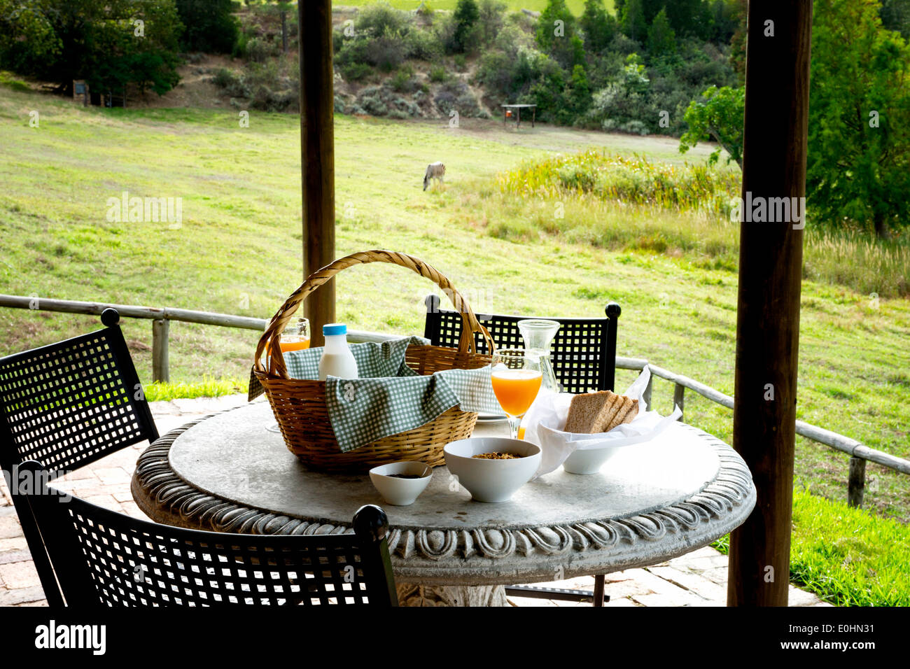 La prima colazione all'aperto in corrispondenza di una tabella di un patio che si affaccia su un pascolo con una zebra in distanza Foto Stock