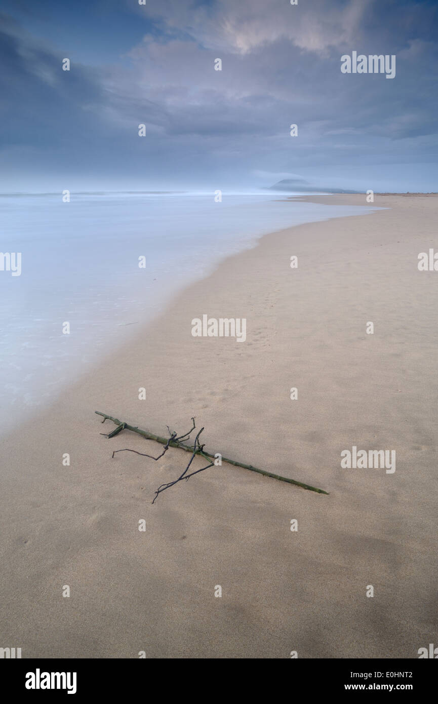 La mattina presto su un vuoto di St Lucia beach. A colore pieno immagine verticale. Kwazulu-Natal Litorale Sud Africa Foto Stock