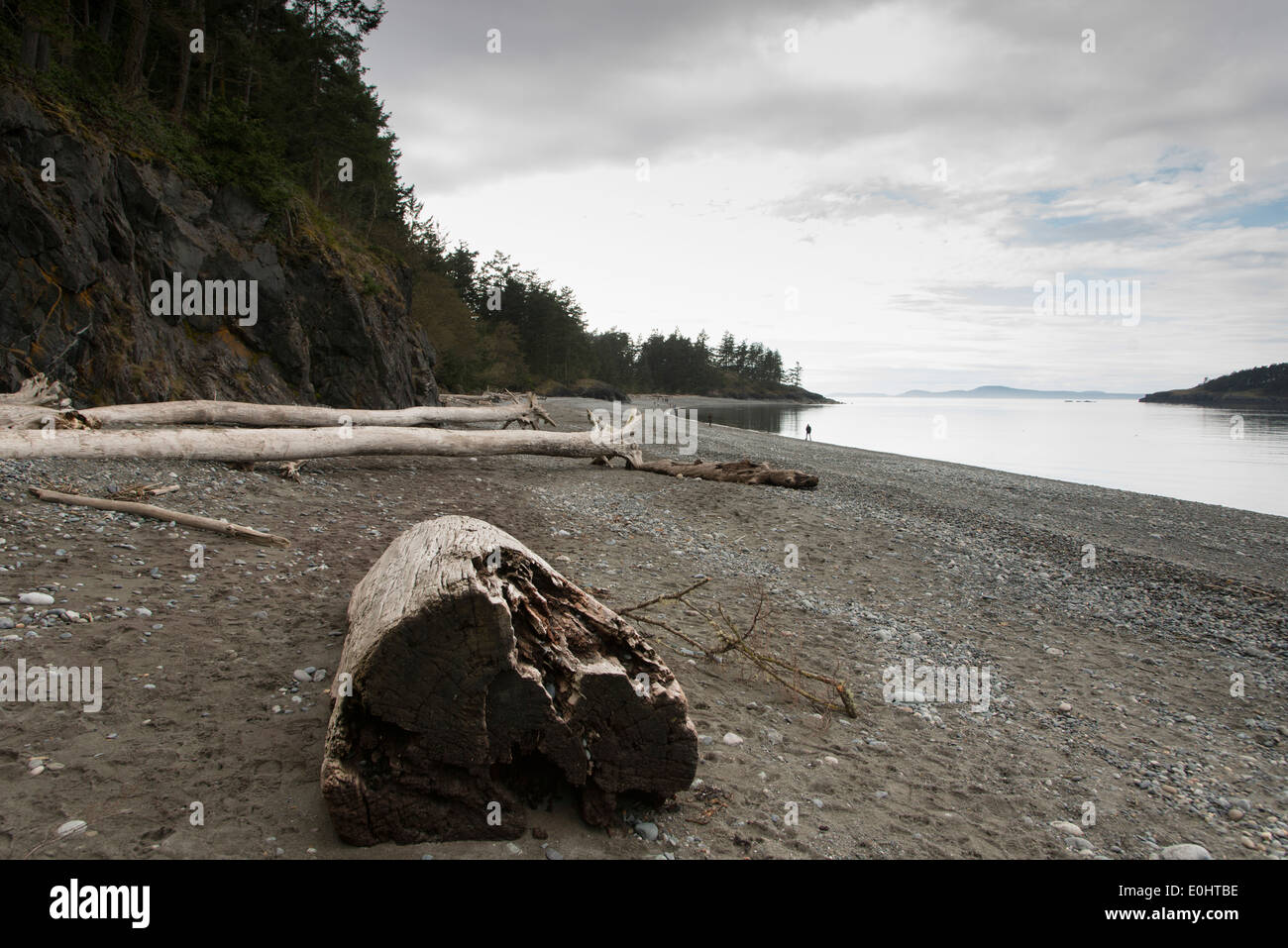 Driftwood log sulla spiaggia in inganno Pass State Park, Oak Harbor, nello Stato di Washington, USA Foto Stock