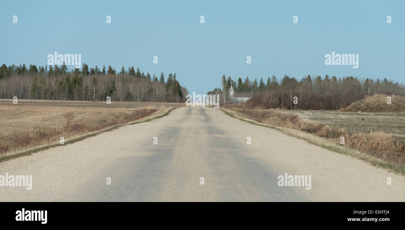 Strada sterrata che passa attraverso un campo della prateria, Manitoba, Canada Foto Stock