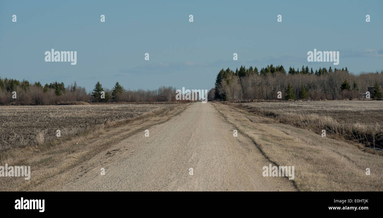 Strada sterrata che passa attraverso un campo della prateria, Manitoba, Canada Foto Stock