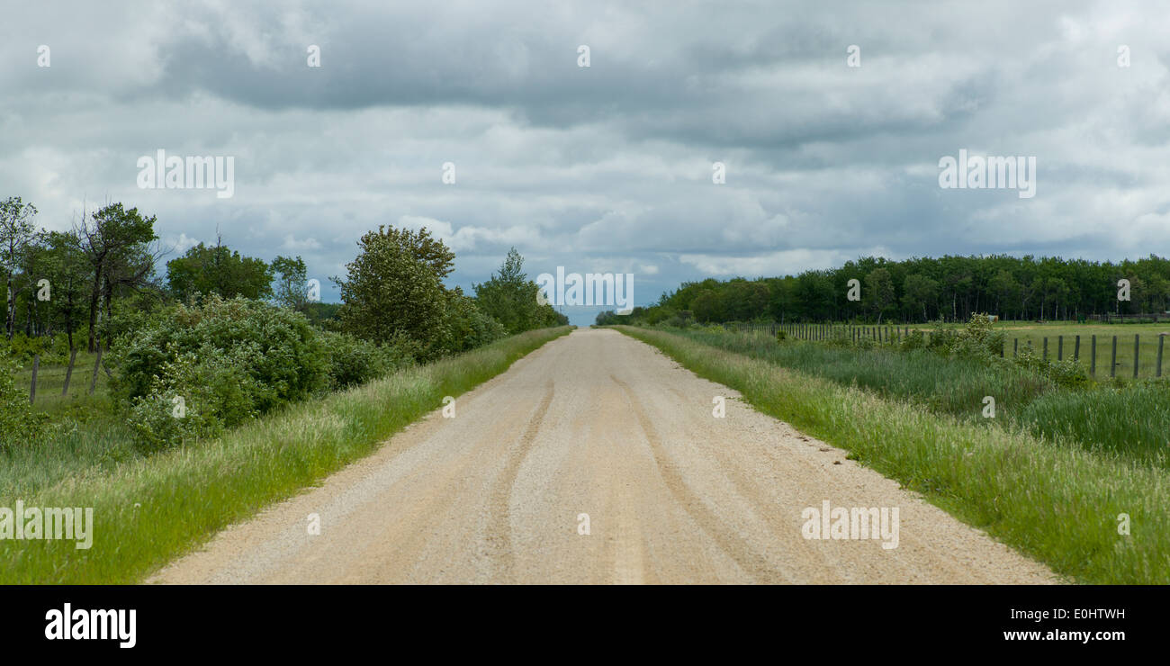 Strada di ghiaia passando attraverso il paesaggio della prateria, Manitoba, Canada Foto Stock