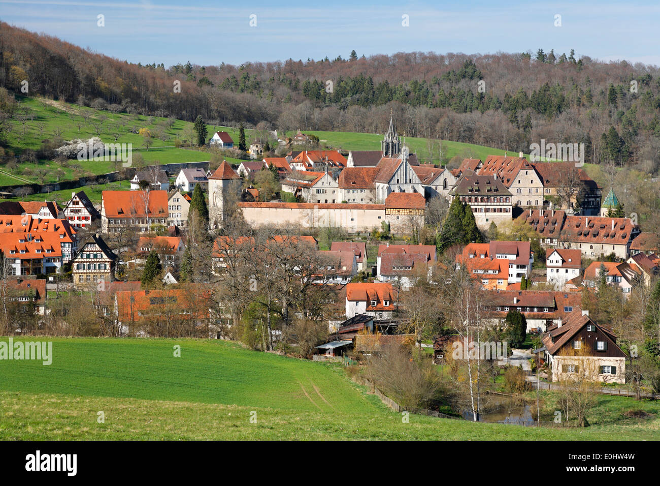 Bebenhausen Abbey, Deutschland, Baden-Württemberg, Kloster Bebenhausen, Dorf, Häuser Foto Stock