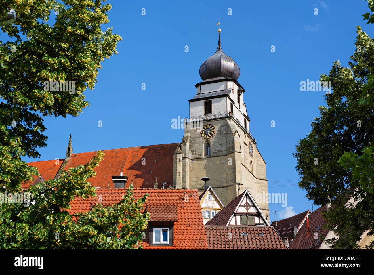 Germania, Chiesa collegiata, case, gable, Deutschland, Baden-Württemberg, Herrenberg, Stiftskirche, Häuser, Giebel Foto Stock