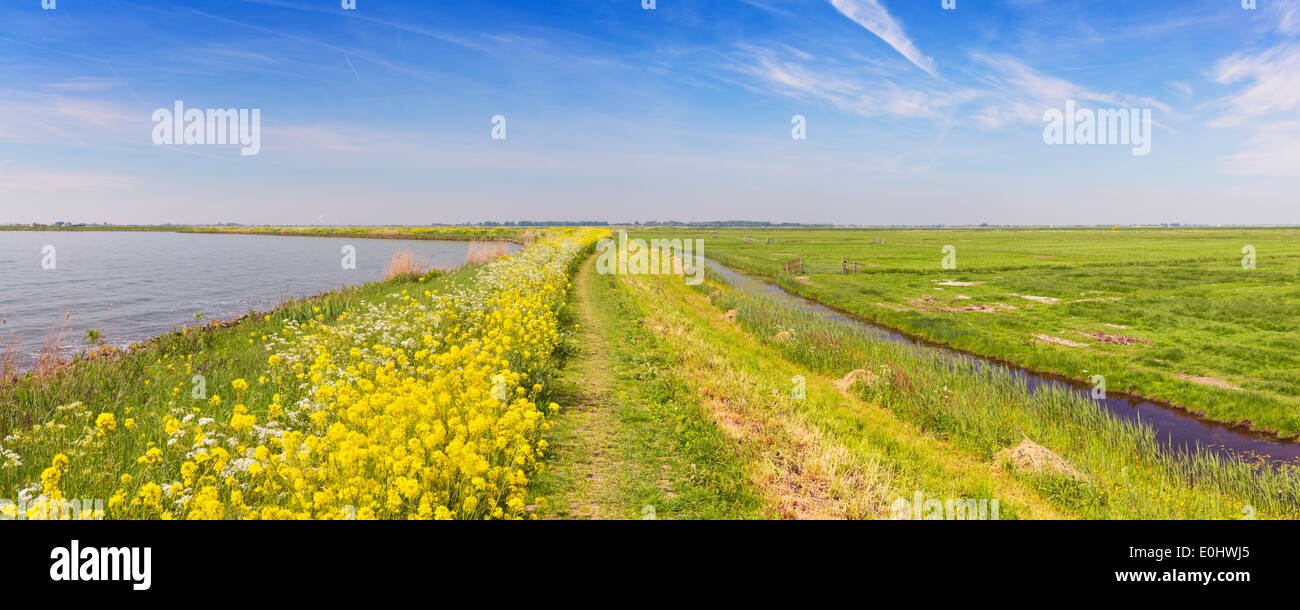 Una diga attraverso il tipico paesaggio Olandese su una luminosa e soleggiata giornata di primavera Foto Stock