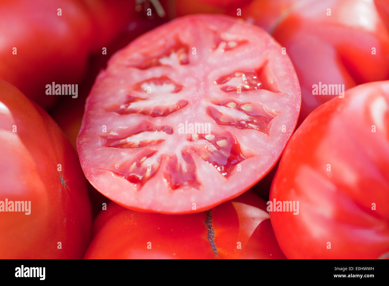 Pomodori rossi sullo sfondo Foto Stock