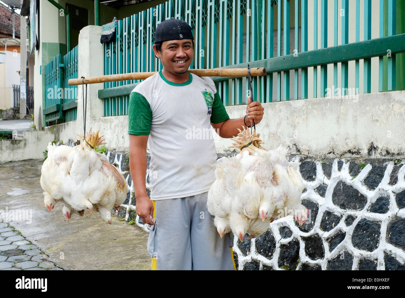 Sorridente uomo indonesiano che trasportano i polli legati insieme mediante i piedini su entrambe le estremità di un palo in malang indonesia Foto Stock