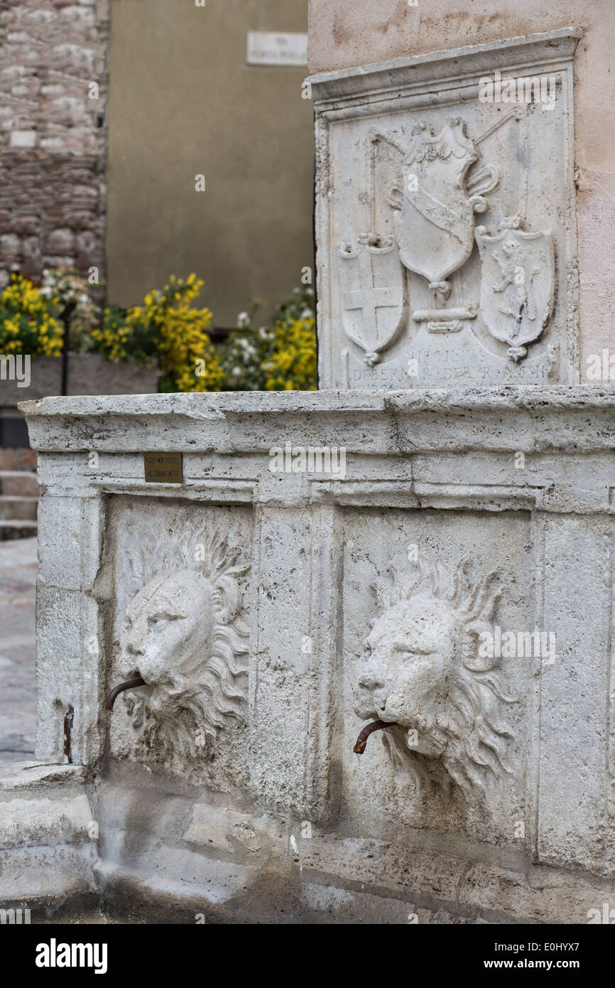 Assisi, San Rufino square; dettaglio della Fontana dei Leoni Foto Stock