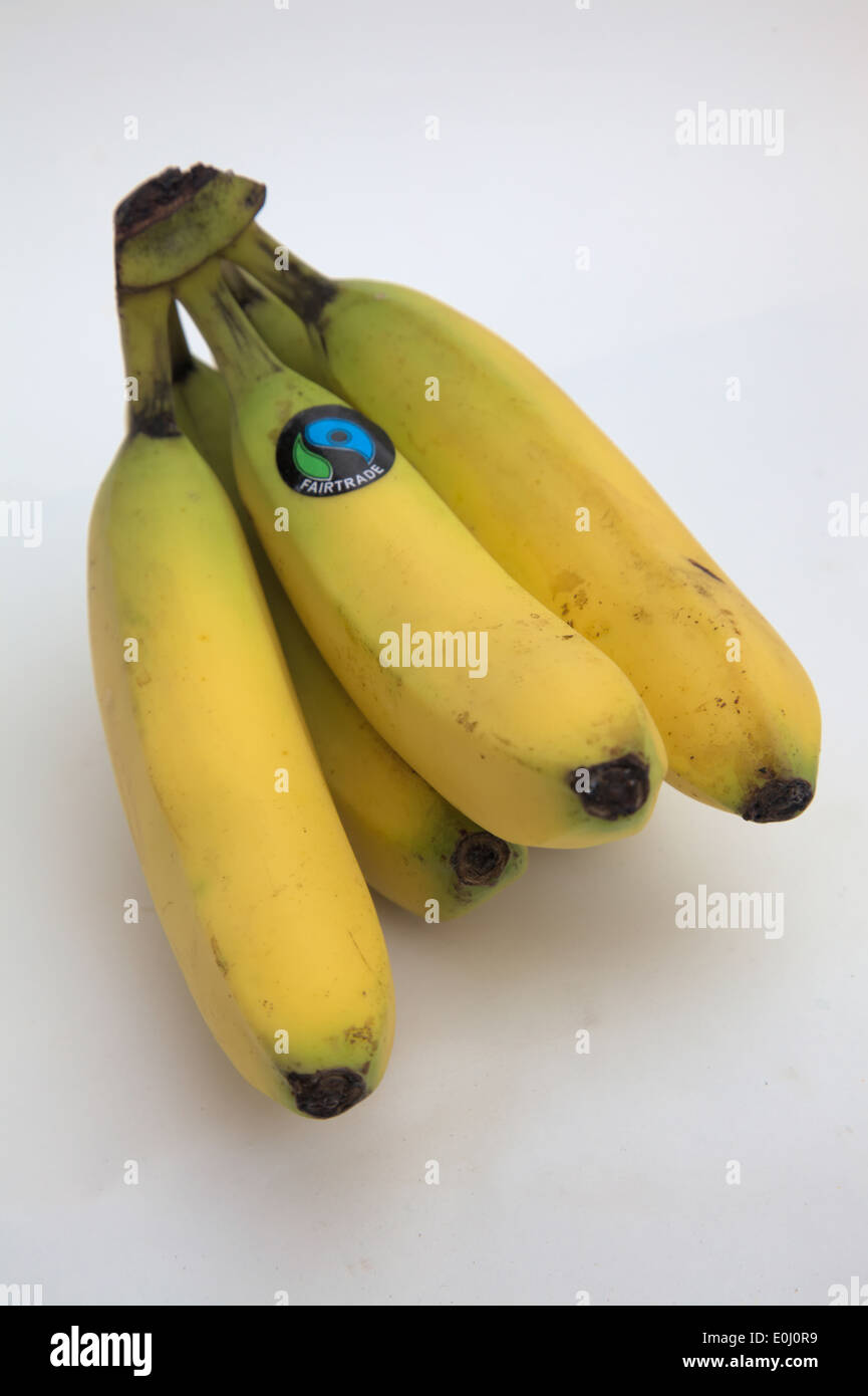 Musa "Cavendish' le banane del commercio equo dal Mar dei Caraibi Foto Stock