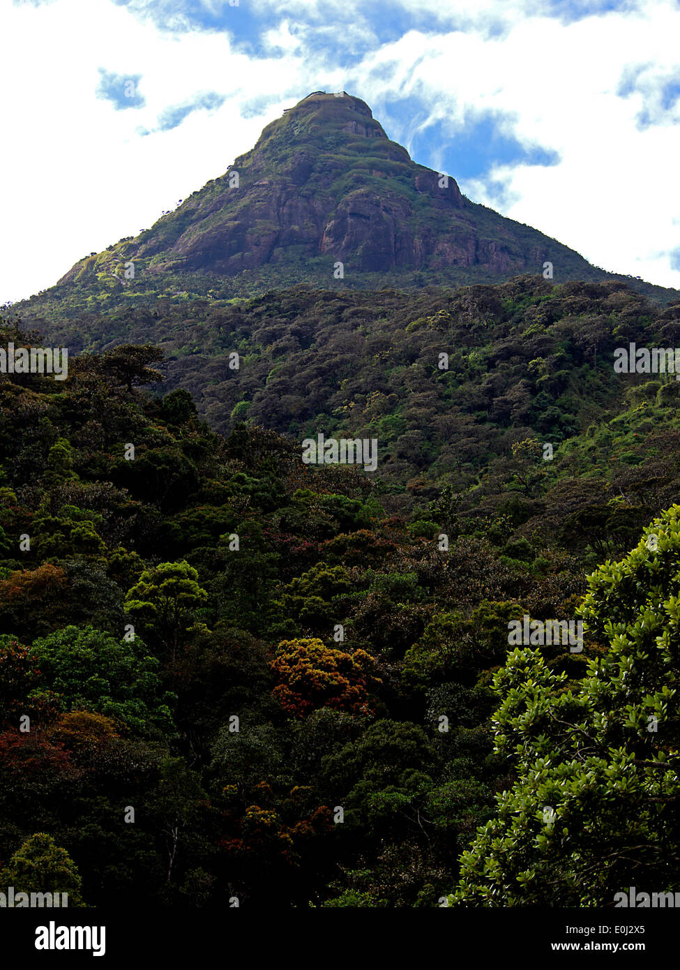 Mountain Adam's Peak in Sri Lanka Foto Stock