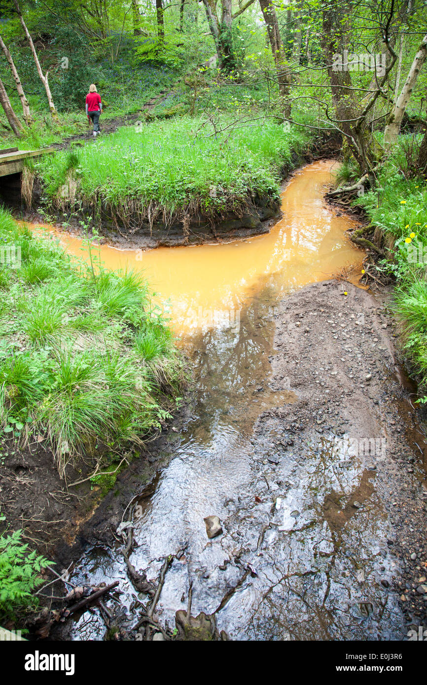 Orange acqua ossido ferrico dal mio alberi a pappagallo di Drumble Riserva Naturale Talke Box Stoke on Trent Staffordshire England Regno Unito Foto Stock