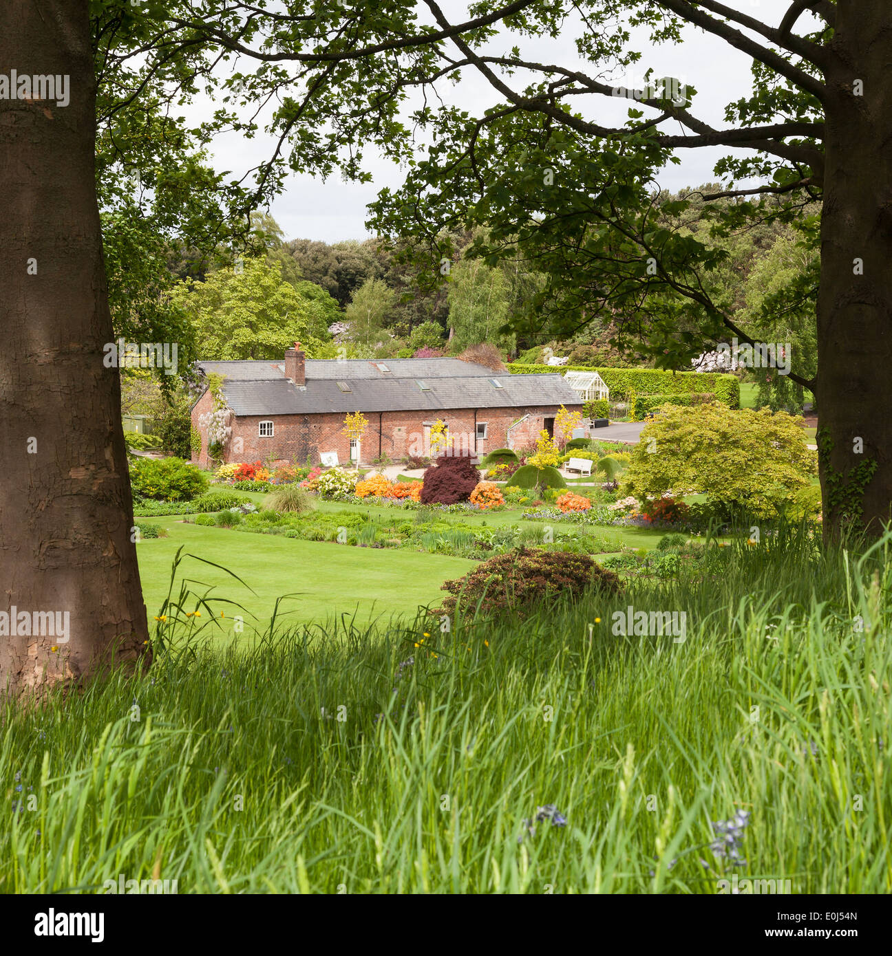 Giardini Botanici di Ness Neston Cheshire il Wirral peninsula vicino a Merseyside England Regno Unito Foto Stock
