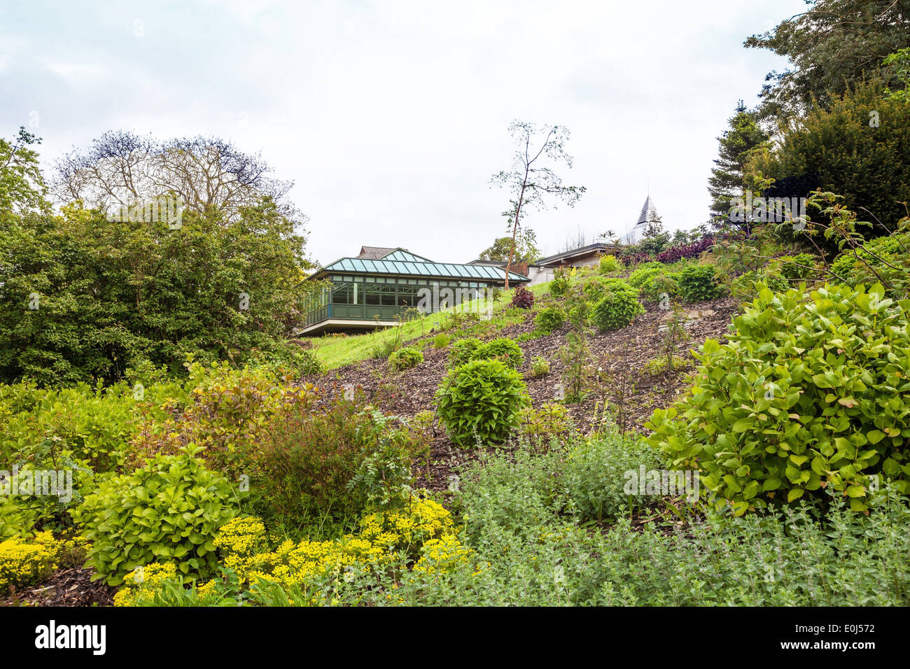 Giardini Botanici di Ness Neston Cheshire il Wirral peninsula vicino a Merseyside England Regno Unito Foto Stock