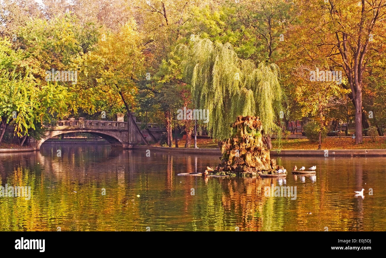 Il lago e il ponte nel parco Cismigiu.Autumn Landscape. Foto Stock