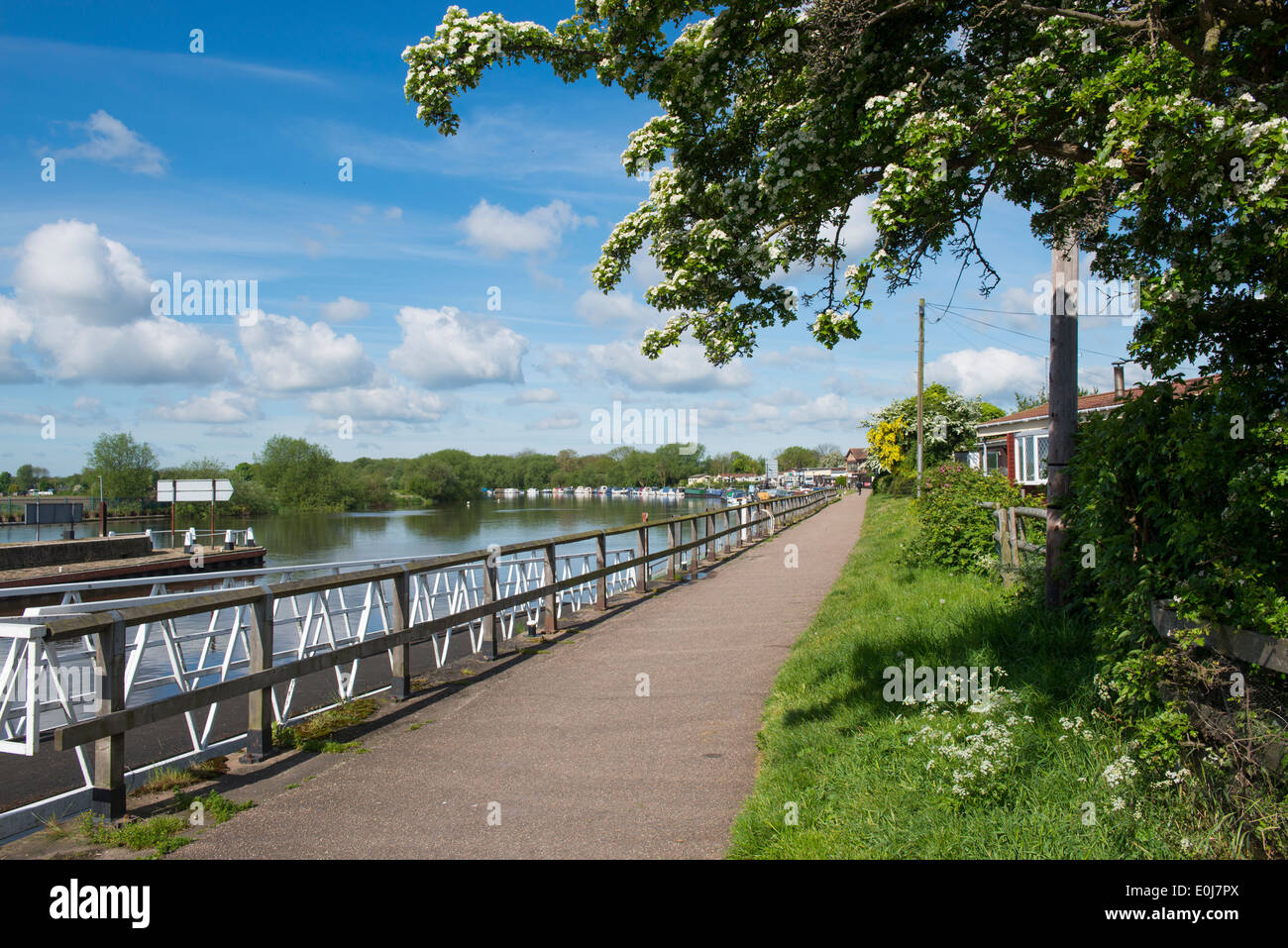 Beeston Marina, Nottingham England Regno Unito Foto Stock