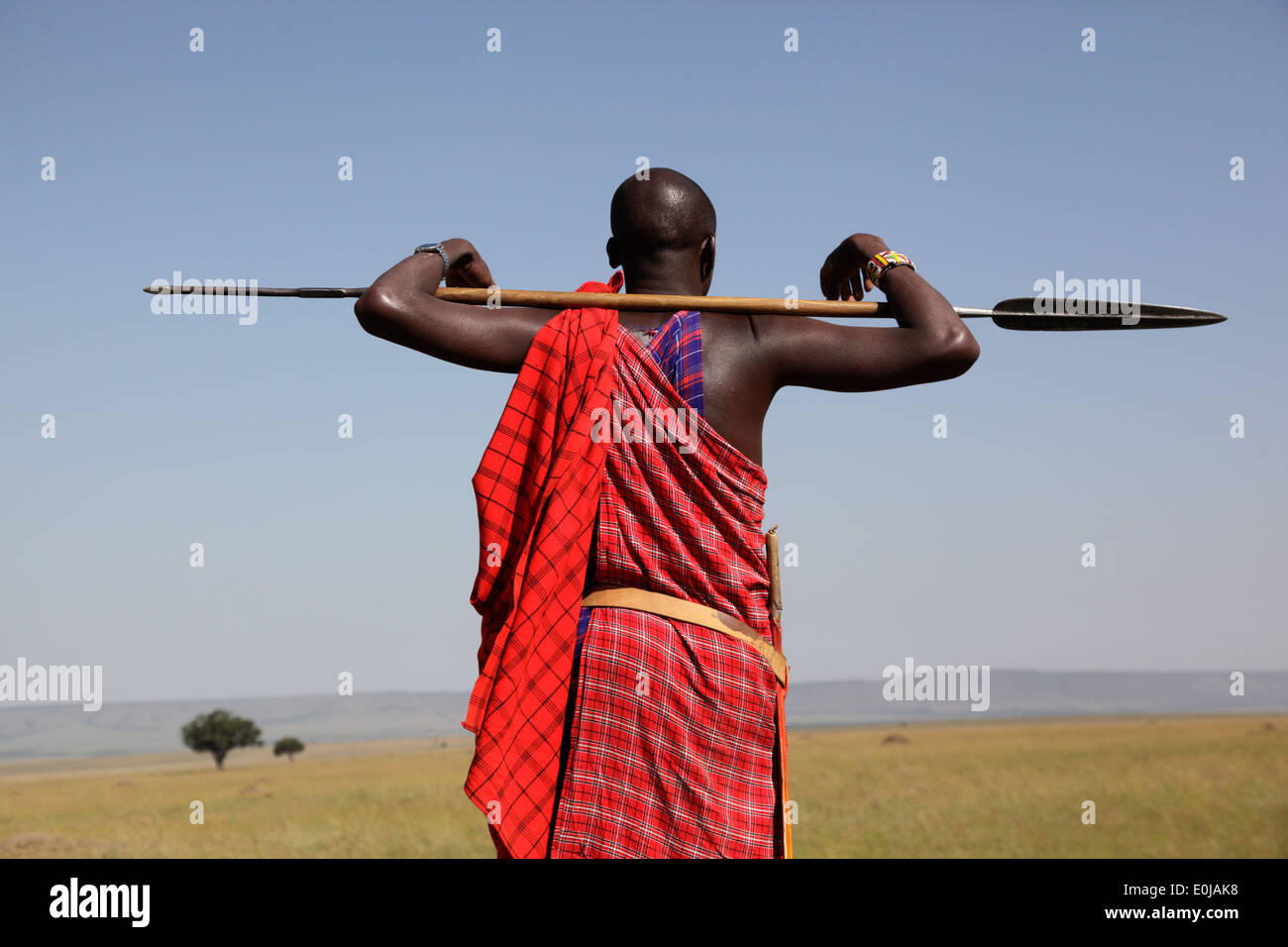 Masai guardia con lancia Masai Mara, Kenya Foto Stock