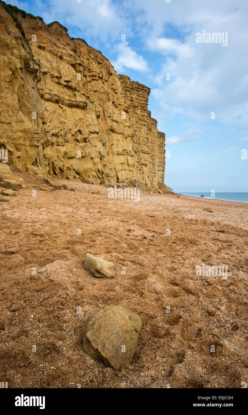 East Cliff West Bay vicino a Bridport, Dorset, Inghilterra, una delle locazioni usate per il Broadchurch serie TV Foto Stock