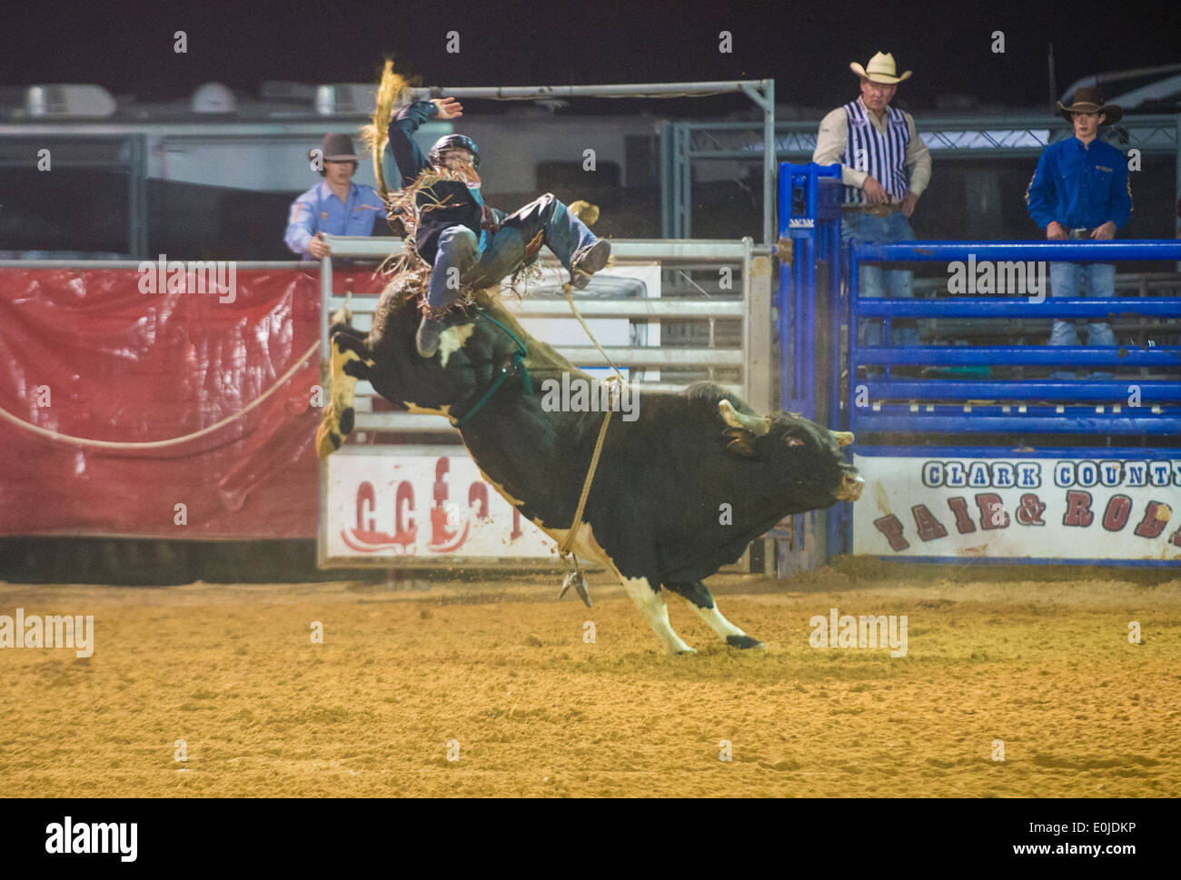 Il cowboy che partecipano a un toro di equitazione concorso presso la Clark County Fair e Rodeo in Logandale Nevada Foto Stock