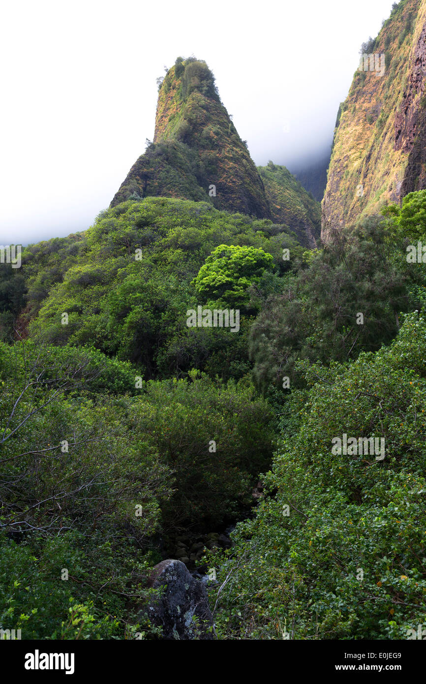 Iao ago nella nebbia nella valle di Maui, Hawaii Foto Stock
