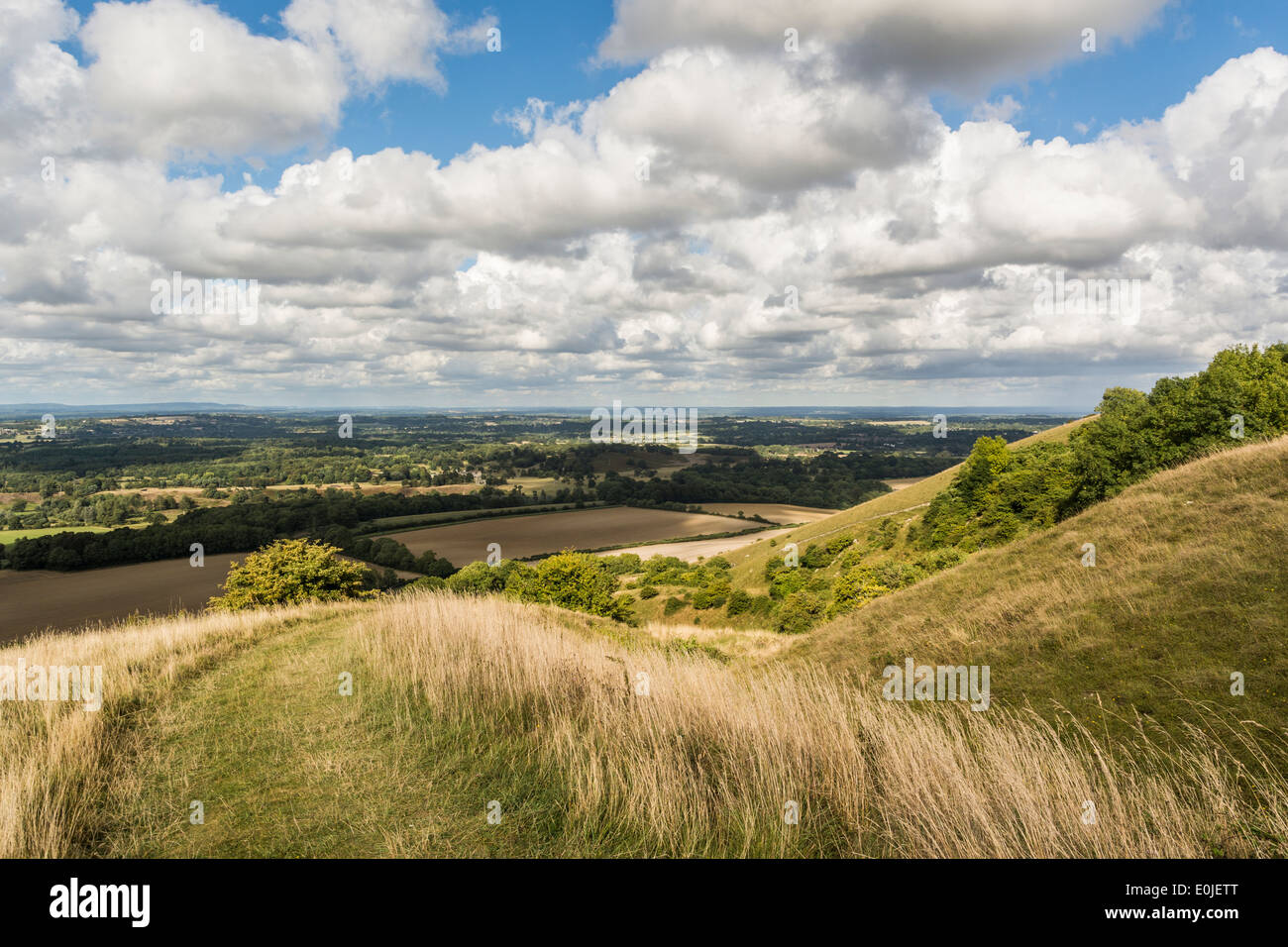 Guardando verso il Sussex Weald dal Rackham Hill nel South Downs National Park in West Sussex. Foto Stock