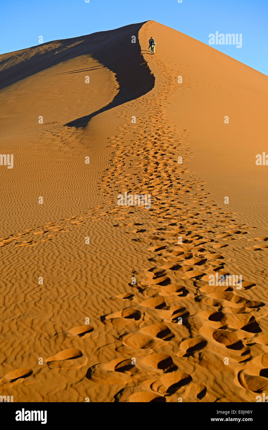 Touristen besteigen Duene 45 im Abendlicht letzten, Namib Naukluft Nationalpark, Sossusvlei, Namibia, Afrika Foto Stock